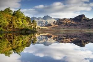 Meet your Posher, Tracey